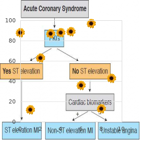 Caudal regression syndrome