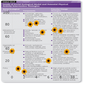 Acute myeloblastic leukemia type 6